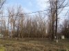 Станица Павловская, Павловский лес