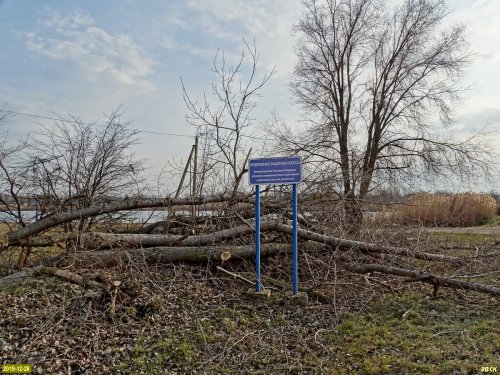 Вырубка в Павловском лесу (станица Павловская)