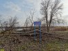 Вырубка в Павловском лесу (станица Павловская)
