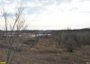 Восточная часть Павловского леса