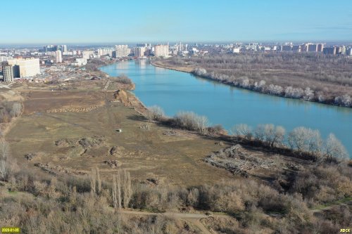 Под строительство "школы для одаренных детей" в Краснодаре уничтожен участок леса