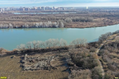Под строительство "школы для одаренных детей" в Краснодаре уничтожен участок леса