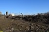 Под строительство "школы для одаренных детей" в Краснодаре уничтожен участок леса