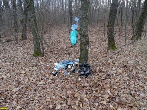 "Памятные сувениры" от отдыхавших в лесу Меклета людей