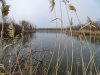 Пруд на балке Антуз, ограничивающей лес Меклета с севера, перед местом впадения в реку Меклета