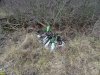 "Аккуратные" загрязнители Туркинского леса собрали за собой мусор в кучку
