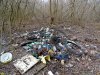 Туркинский лес в Белоглинском районе страдает от "человека разумного", как и любая зелёная зона