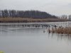 Река Расшеватка протекает к северо-востоку от Туркинского леса (Белоглинский район)