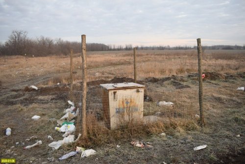 Контейнер для биологических отходов говорит об использовании несанкционированной свалки коммунальной службой