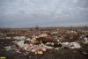 Незаконная свалка в станице Ильинской