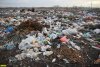 Незаконная свалка в станице Ильинской