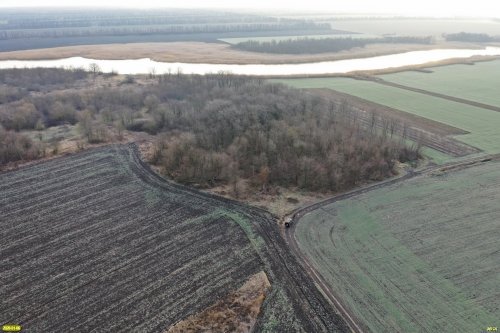 Восточная часть Ильинского леса, река Калалы (Новопокровский район) 