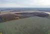 Ильинский лес - участок естественного пойменного леса реки Калалы 