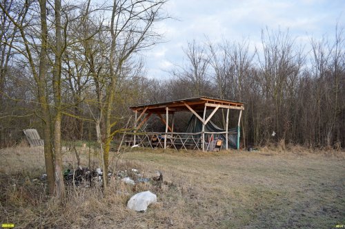 Ильинский лес: "культура" отдыха на природе во всей красе