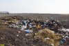 Свалка возле хутора Туркинский