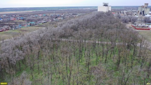 Несмотря на отсутствие статуса, зелёная зона возле ЖД станции Белая Глина хорошо сохранилась