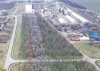 Зеленая зоне возле ЖД вокзала в Белой Глине представляет из себя полосы деревьев разных пород