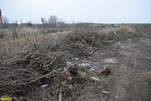 Порубочные остатки вывозятся на несанкционированную свалку
