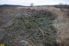 Порубочные остатки вывозятся на несанкционированную свалку