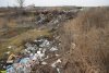 Незаконная свалка соседствует с сельхозугодьями