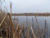 Сетчатый забор уходит в водную гладь реки Меклета 