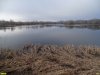 К Белореченской свалке примыкает крупный водоем, в который с ее территории поступает отравленный фильтрат