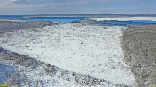 Поляна в урочище "Ленинский" (окрестности станицы Октябрьской)
