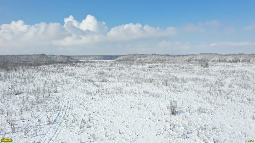 Поляна в междуречье рек Камла и Балка Цица