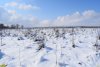 Поляна в междуречье рек Камла и Балка Цица