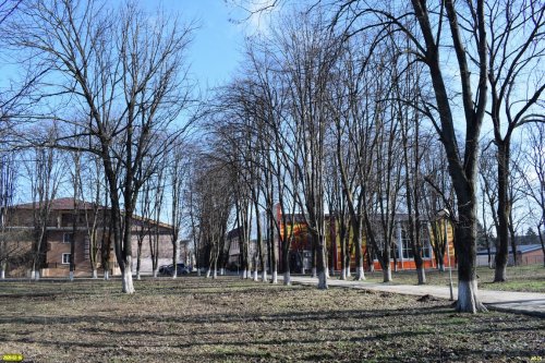 Под строительство частного спорткомплекса и гостиницы была захвачена часть территории парка возле ДК в ст.Динской