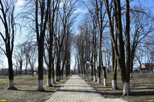 Парк возле ДК в ст.Динской