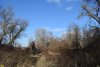 Киргизские плавни в Краснодаре были незаконно переданы под строительство базы ФК "Кубань"