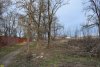 Центральный парк в пос.Черноморском был частично вырублен под предлогом реконструкции