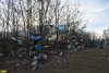 Этим деревьям не повезло расти рядом с Северской свалкой