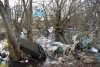 Этим деревьям не повезло расти рядом с Северской свалкой