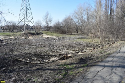 Вырубка в Парке Победы (Затон) в Краснодаре