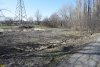 Вырубка в Парке Победы (Затон) в Краснодаре