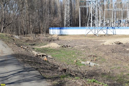 Вырубка в Парке Победы (Затон) в Краснодаре