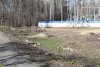 Вырубка в Парке Победы (Затон) в Краснодаре