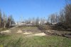 Вырубка в Парке Победы (Затон) в Краснодаре
