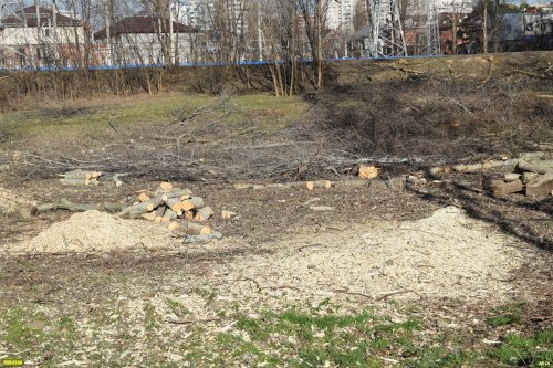 Вырубка в Парке Победы (Затон) в Краснодаре