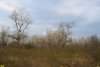 Белореченский заказник 