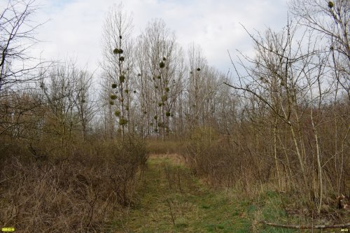 Белореченский заказник 
