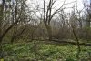 Белореченский заказник 