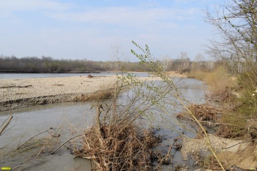 Белореченский заказник 