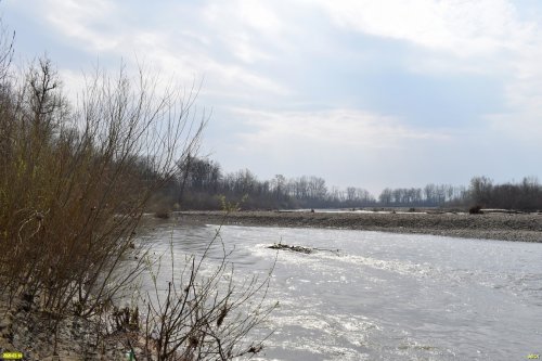 Белореченский заказник 
