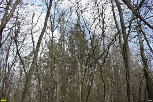 Белореченский заказник 