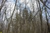 Белореченский заказник 