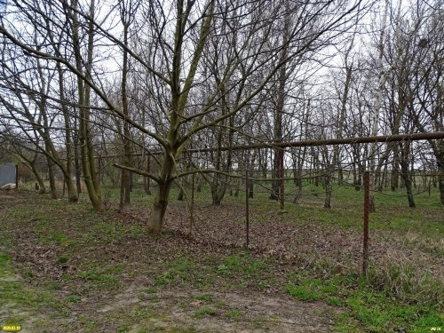 Забор на захваченной части лесного фонда в х.Ленина (Краснодар)