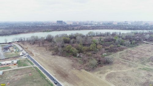 Лес в Киргизских плавнях